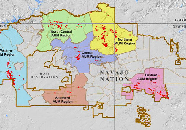 New Mexico project site